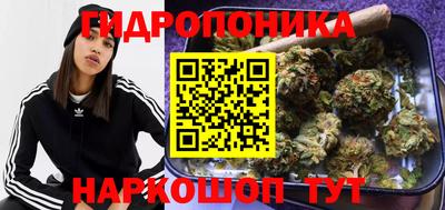бошки Новозыбков