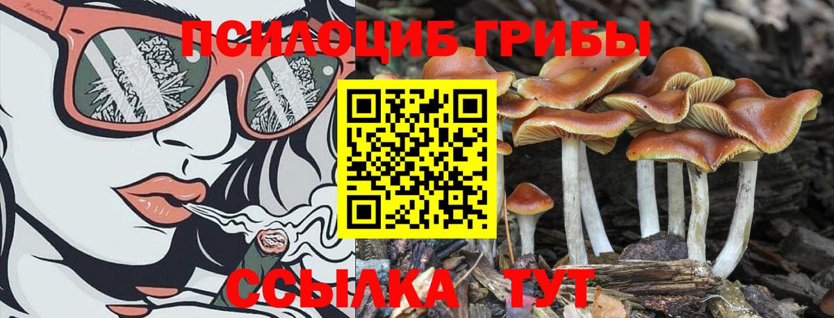 Галлюциногенные грибы мухоморы  Псилоцибиновые грибы прущие грибы  Вход с VPN  Славянск-на-Кубани 