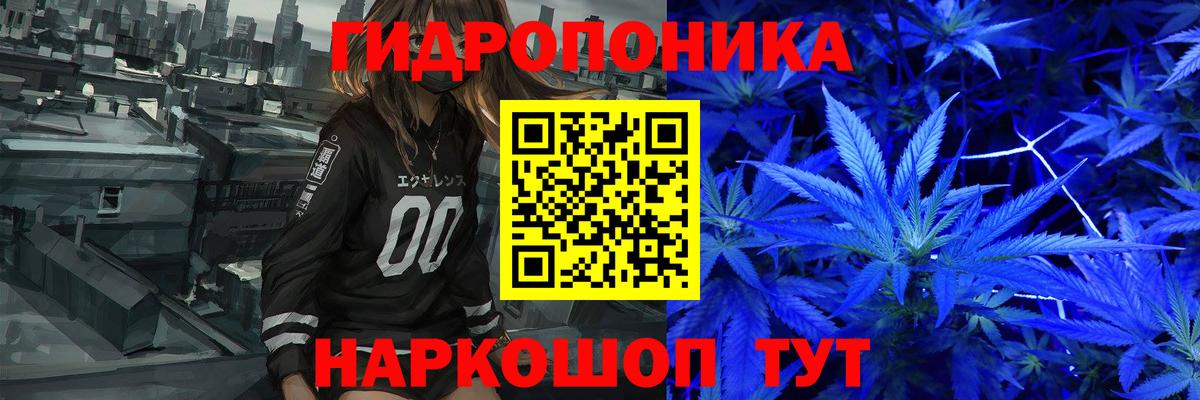 Каннабис OG Kush Славянск-на-Кубани